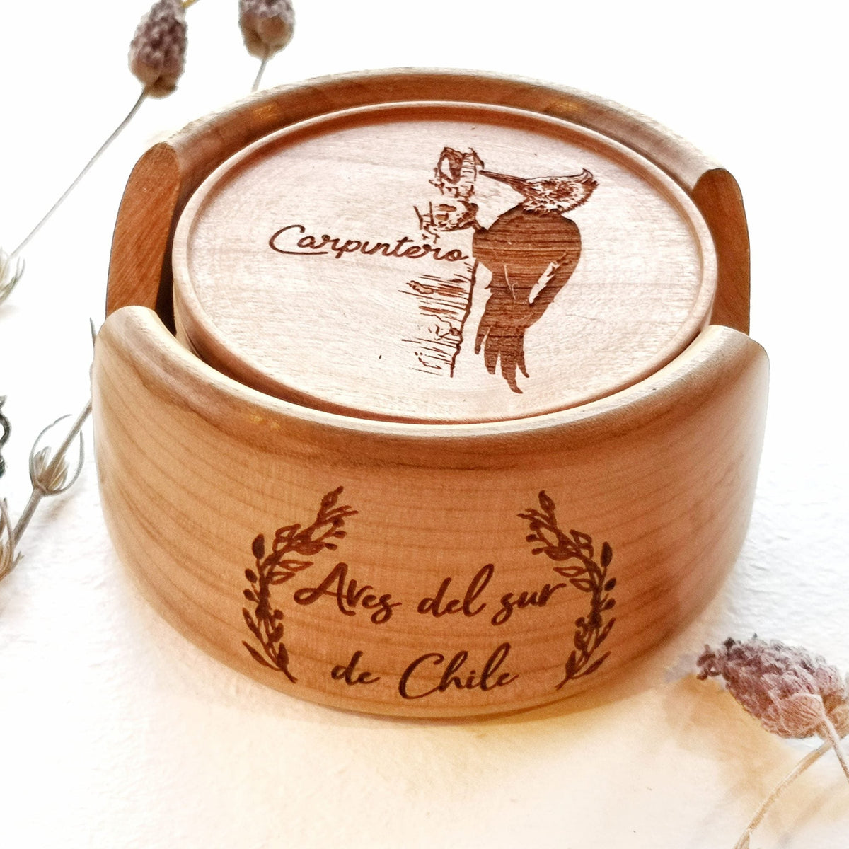 Set de Posavasos Bocetos de Aves de Chile
